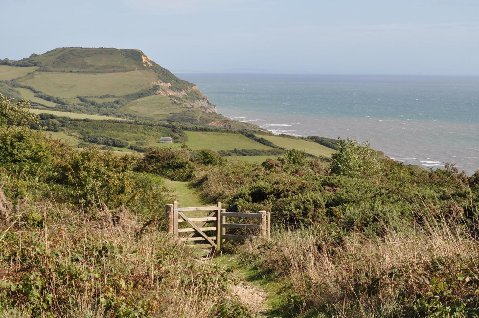 The Retreat, Own Hot Tub, Romantic Escape, Near Lyme Regis Extérieur photo